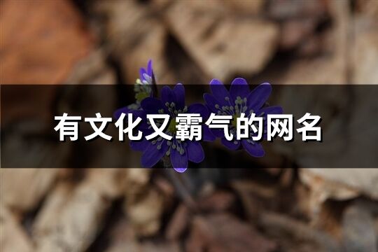 有文化又霸氣的網名(185個)
