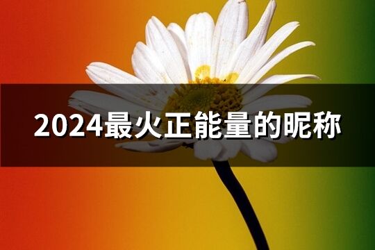 2024最火正能量的昵稱(224個)