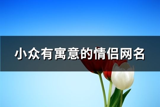 小眾有寓意的情侶網(wǎng)名(117個)