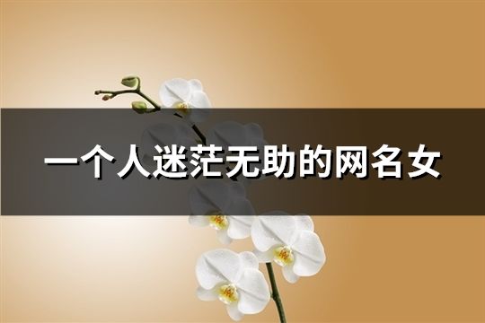 一個人迷茫無助的網(wǎng)名女(共93個)