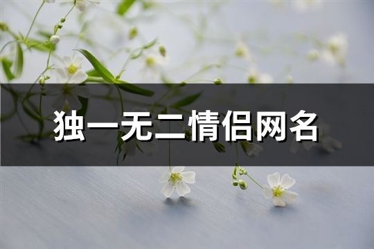 獨一無二情侶網名(112個)