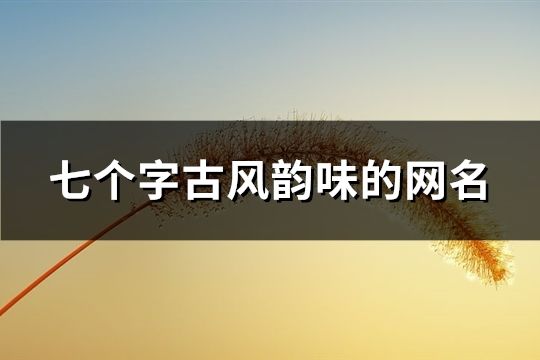 七個字古風(fēng)韻味的網(wǎng)名(共163個)