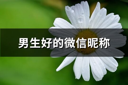 男生好的微信昵稱(166個)