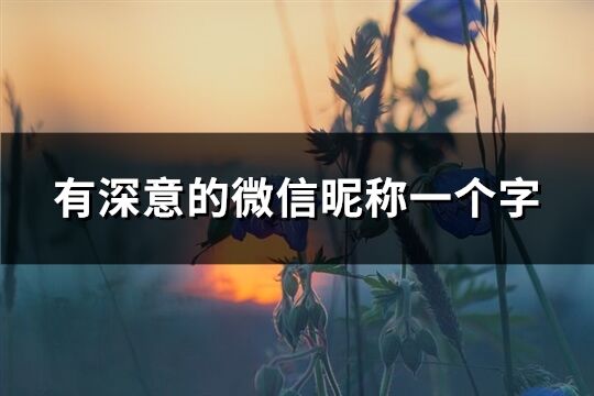 有深意的微信昵稱一個字(共148個)