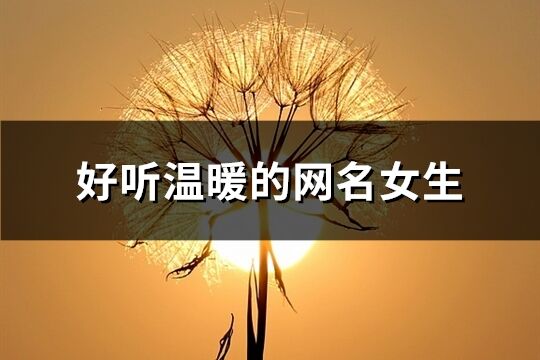 好聽溫暖的網名女生(精選292個)