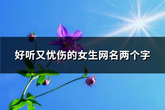 好聽又憂傷的女生網名兩個字(共292個)
