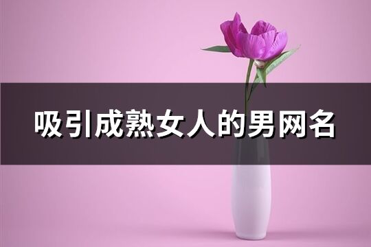 吸引成熟女人的男網名(236個)