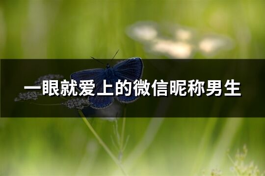 一眼就愛上的微信昵稱男生(274個)