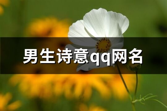 男生詩(shī)意qq網(wǎng)名(精選180個(gè))