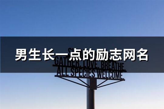 男生長一點的勵志網(wǎng)名(53個)