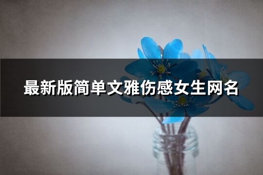 最新版簡單文雅傷感女生網名(精選198個)