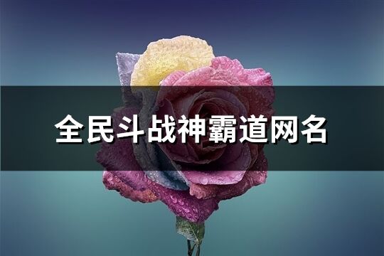 全民斗戰神霸道網名(共80個)