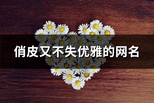 俏皮又不失優雅的網名(共109個)
