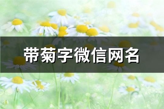 帶菊字微信網名(70個)