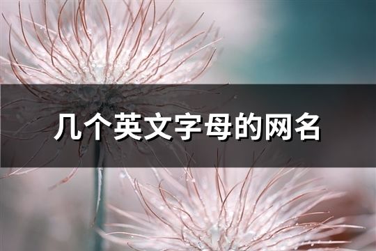 幾個英文字母的網名(共196個)