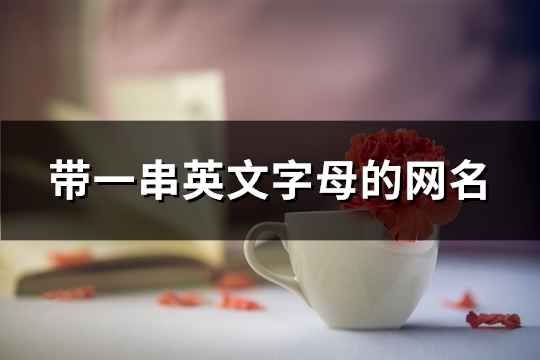 帶一串英文字母的網名(共94個)