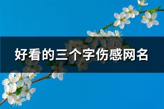 好看的三個字傷感網名(共124個)