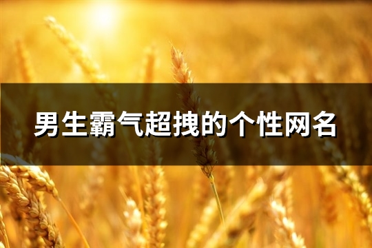 男生霸氣超拽的個(gè)性網(wǎng)名(精選116個(gè))
