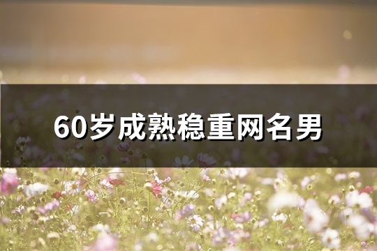 60歲成熟穩重網名男(共171個)