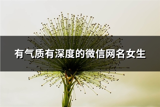 有氣質有深度的微信網名女生(精選238個)