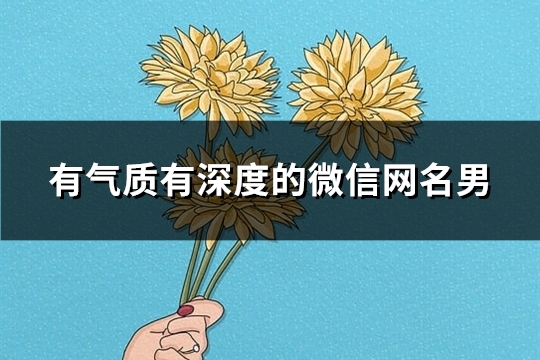 有氣質有深度的微信網名男(113個)
