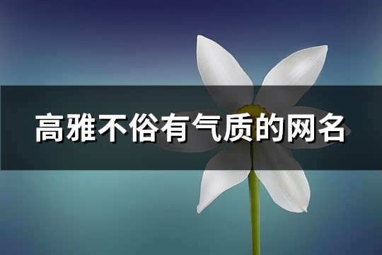 高雅不俗有氣質的網名(精選173個)