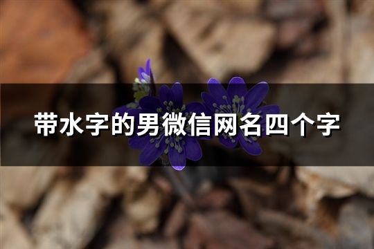 帶水字的男微信網名四個字(131個)