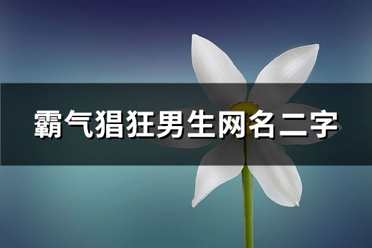 霸氣猖狂男生網(wǎng)名二字(精選149個(gè))