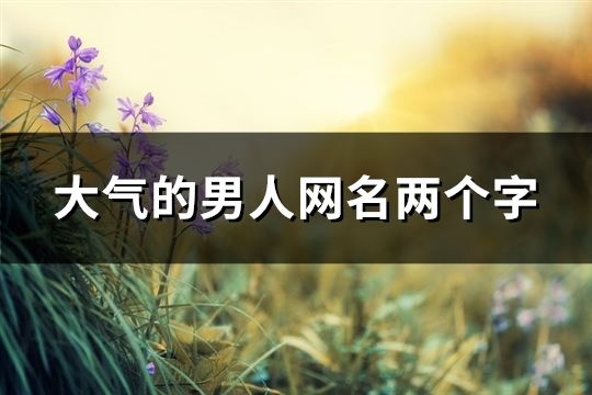大氣的男人網(wǎng)名兩個(gè)字(99個(gè))