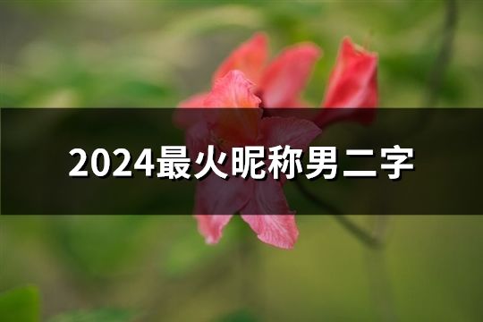 2024最火昵稱男二字(236個)