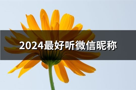 2024最好聽微信昵稱(共220個)