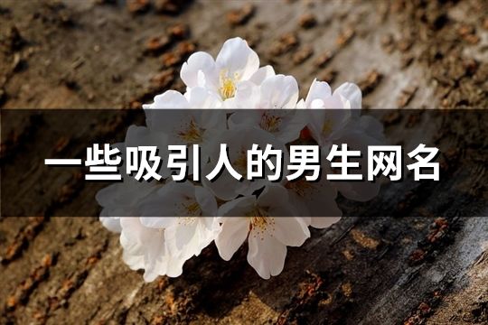 一些吸引人的男生網(wǎng)名(185個)