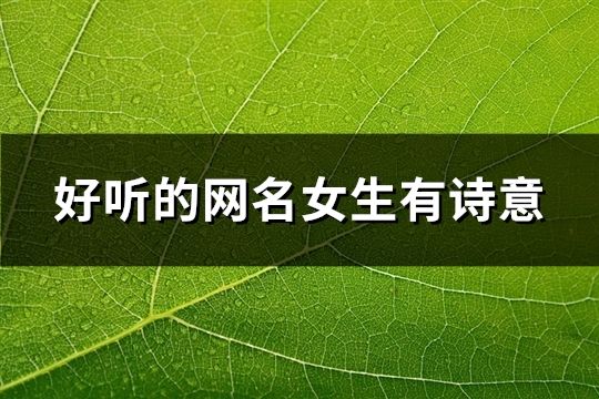 好聽的網(wǎng)名女生有詩意(精選240個(gè))