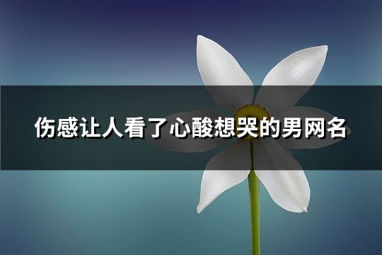 傷感讓人看了心酸想哭的男網名(共111個)
