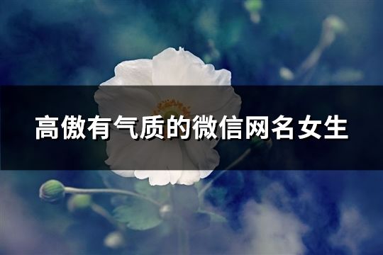 高傲有氣質的微信網名女生(270個)