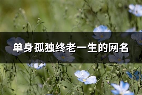 單身孤獨終老一生的網(wǎng)名(共127個)