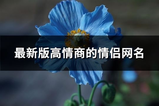 最新版高情商的情侶網名(87個)