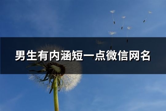 男生有內(nèi)涵短一點(diǎn)微信網(wǎng)名(共101個)