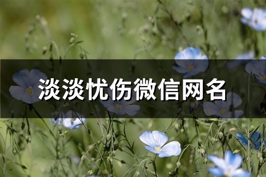 淡淡憂傷微信網(wǎng)名(精選123個(gè))