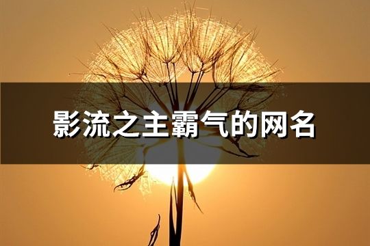 影流之主霸氣的網(wǎng)名(77個)
