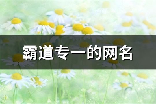 霸道專一的網名(134個)