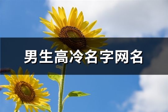 男生高冷名字網(wǎng)名(精選176個(gè))