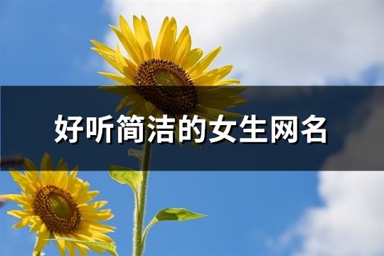 好聽簡潔的女生網名(精選175個)