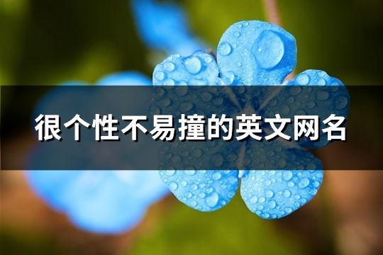 很個(gè)性不易撞的英文網(wǎng)名(97個(gè))