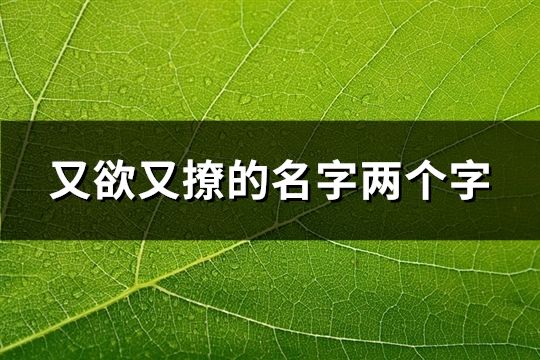 又欲又撩的名字兩個(gè)字(共80個(gè))