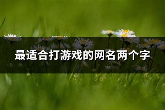 最適合打游戲的網名兩個字(共226個)