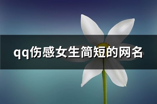 qq傷感女生簡短的網名(共175個)