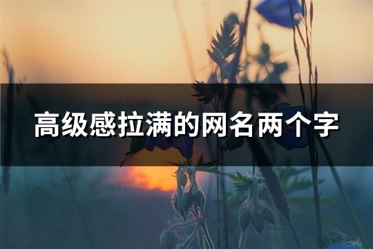 高級感拉滿的網名兩個字(196個)