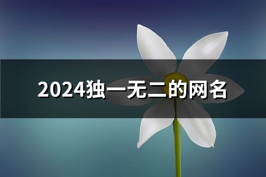 2024獨一無二的網(wǎng)名(共241個)