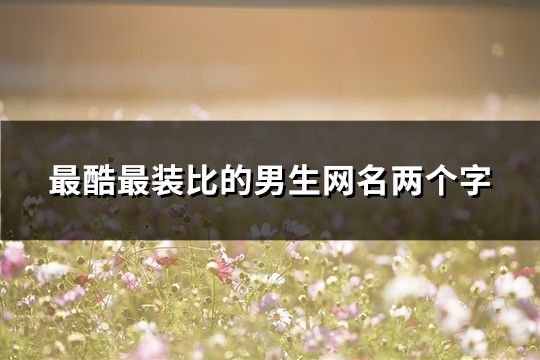 最酷最裝比的男生網(wǎng)名兩個(gè)字(94個(gè))